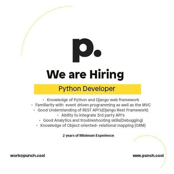 Python Developer - Punch Group